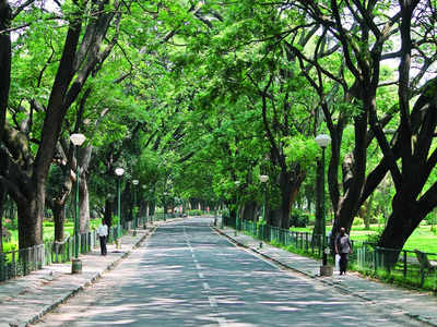 Will Cubbon Park open its gates to traffic daily?