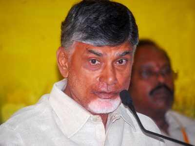 Ahead of N Chandrababu Naidu's Deeksha, Andhra Pradesh CID raids IT firm over sand site hacking