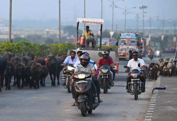Traffic police launch road safety drive in Koregaon Park Kalyaninagar, Mundhwa areas