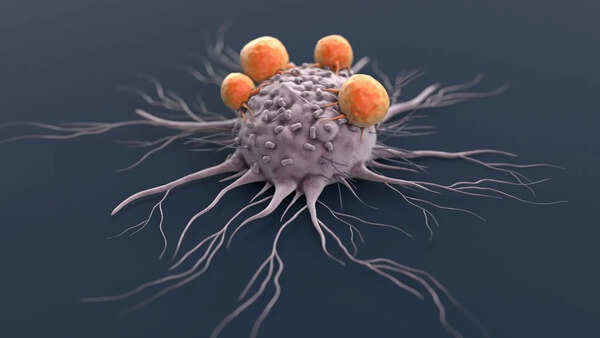 Starving cancer or starving the body? The hidden risk behind extreme no-sugar cancer diets