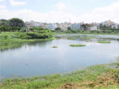 Upa Lokayukta sets 3-month deadline to restore city lakes