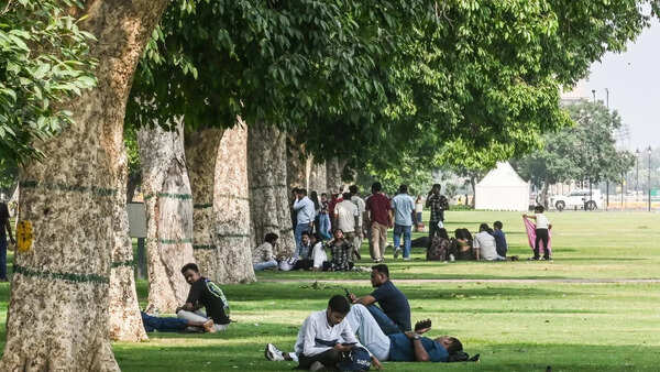 Trees cut extra city heat by half, but not quite where most needed