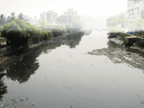 NGT decision on Kanpur tanneries hailed