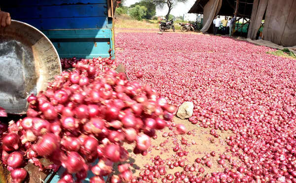 Centre hikes onion procurement rate to Rs 1,580 per quintal