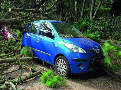 Claim tribunal must specify nature of accident injuries: High Court