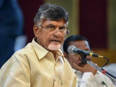 Andhra Pradesh: Chandrababu Naidu accuses YSR Congress of killing TDP workers