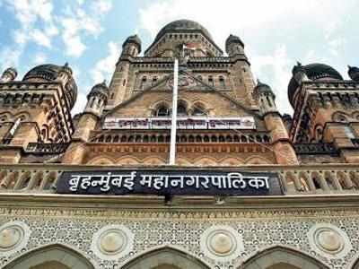 Bombay HC asks state, BMC to file affidavit about Area Sabhas