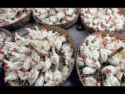 India’s poultry sales decline after coronavirus rumours