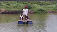 Locals risk their lives to cross river on makeshift boat in MP’s Mandsaur 