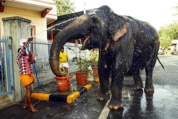 Heatwave to hit Ahmedabad and Gandhinagar on Monday