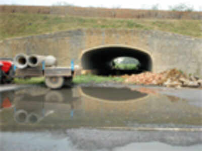 Sewage polluting Gottigere lake