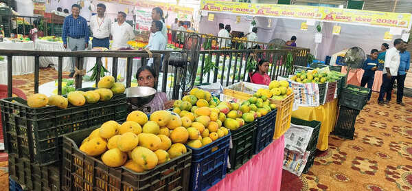 Koppal Mango Mela opens with 200 varieties, Miyazaki steals the show