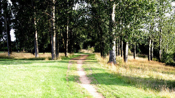 In praise of padandis and dusty trails