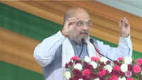 All doors to cattle smuggling closed in Assam, smugglers fear State Police: Amit Shah 