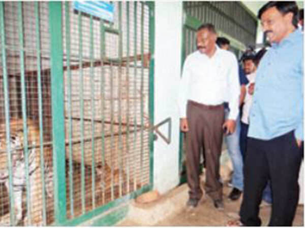 Janardhana Reddy adopts three tiger cubs, elephant calf