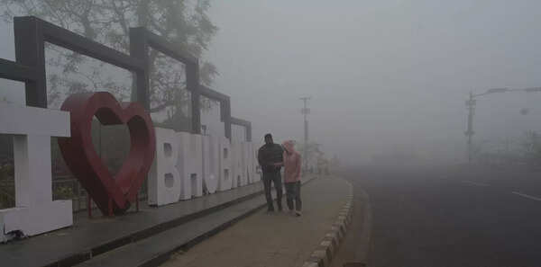 Fog brings city to standstill early morning