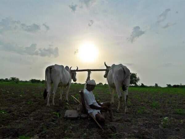 Central schemes only helping rich farmers: RSS-affiliate BKS