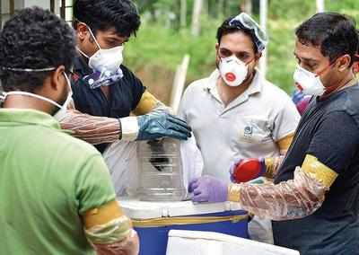 Nipah virus found in two bat species in Maharashtra by NIV team