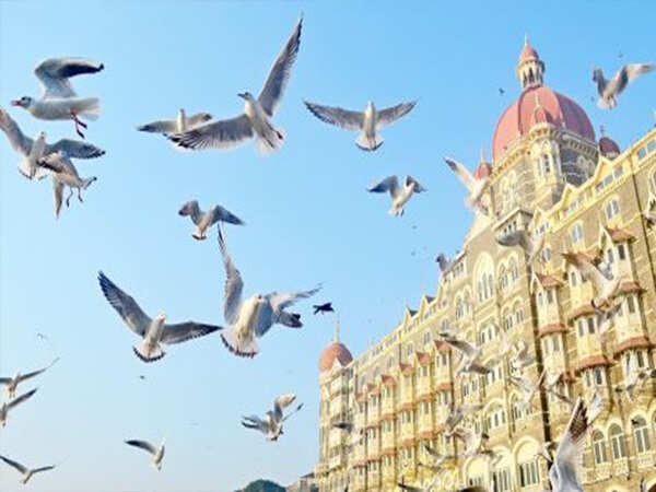 114-year-old Taj Palace becomes first Indian building to get trademark