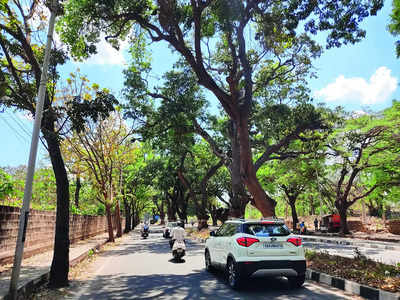 Weather watch: Bengaluru hots up