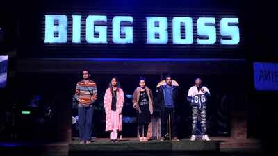 Highlights: Bigg Boss 11, Day 101, 10 January 2018: Arshi Khan chooses Shilpa Shinde as meanest in the task, Akash Dadlani gets evicted