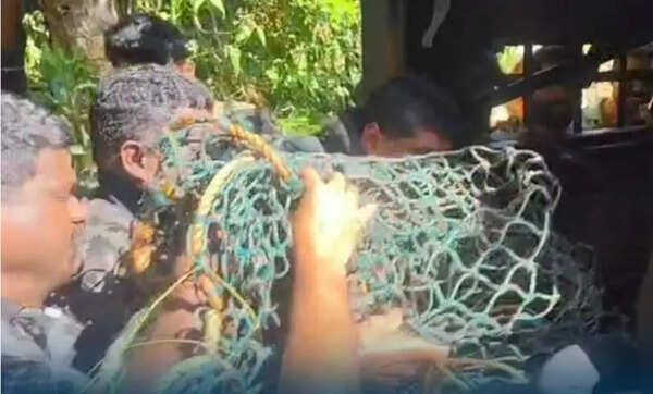Leopard that killed three goats in Wayanad dies soon after capture