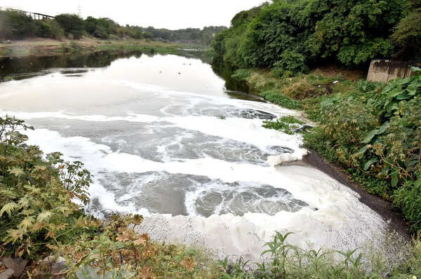State govt approves Rs 49.26 crore funding for water diversion scheme for Trimbakeshwar to bring about 165 hectares under irrigation