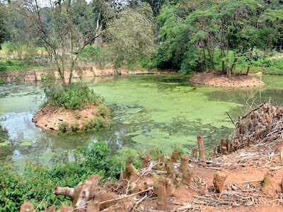 Operation Kamala in Cubbon Park