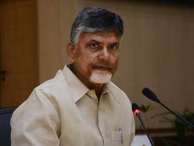 Andhra Pradesh HC directs state government to provide 97-men security cover for Chandrababu Naidu