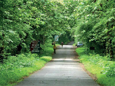 Mumbai may soon lose Sanjay Gandhi National Park