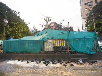 Kabootar Khana near Khar market sealed by BMC after residents complaint of asthma, TB