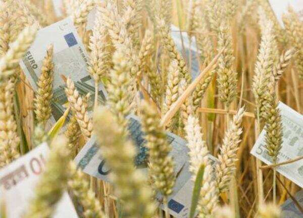 New crop insurance will be more attractive: Minister