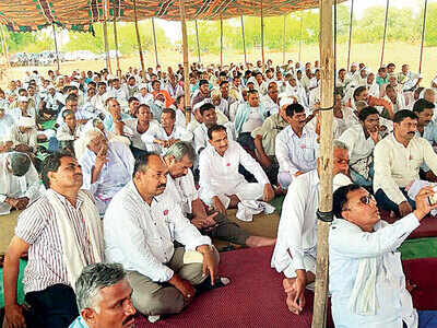 Centre asks Maharashtra government to submit detailed report on banned GM cotton cultivation