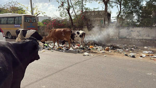 Jaipur: Waterlogging, garbage trouble residents ahead of monsoon
