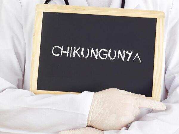 40 more cases Chikungunya reported in Jaipur