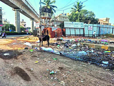 Day after clean-up effort, area gets trashed all over again