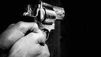 Delhi: After robbing auto driver of Rs 85, man pulls out gun on cops, threatens to shoot self 