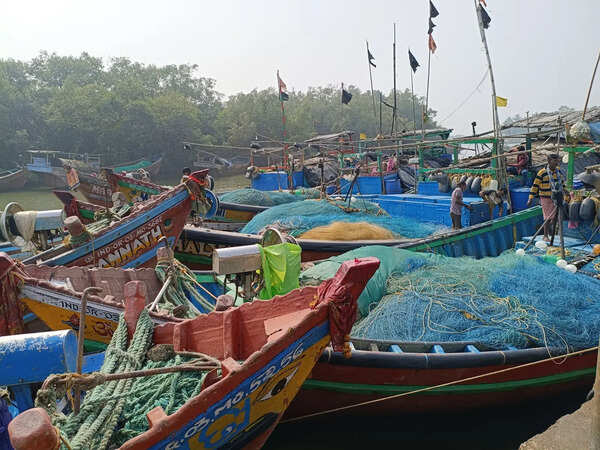 Govt to give Rs 1500 to 12k fishermen for fishing ban
