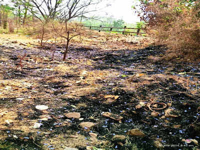 Garbage ablaze: What’s BBMP doing?