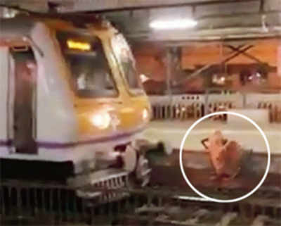 Train halts inches away from woman walking on track