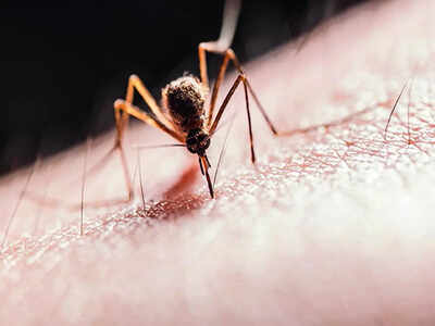 7,464 Dengue cases reported in State