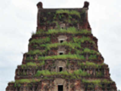 Grass sprouts from world heritage temple in Hampi