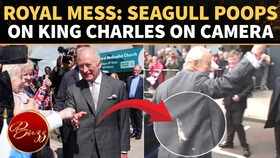 &lsquo;At Least Not My Head!&rsquo; King Charles Laughs As Bird Droppings Hit Him | WATCH