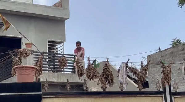 Vigilante justice meets police wall in Mansa; house saved