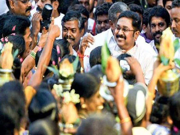 Jubilant TTV tours RK Nagar constituency, thanks voters