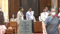 Vice Presidential Poll: Congress Interim President Sonia Gandhi casts vote 