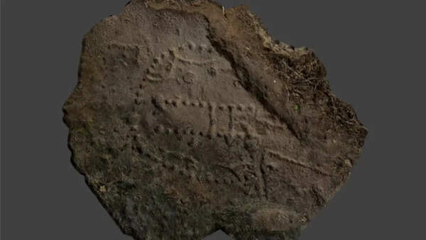 A 1,000-year-old structure found under Norway’s sea may reveal how whales were once trapped