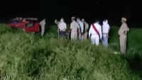 Varanasi: Chemical spraying conducted to control locusts attack 