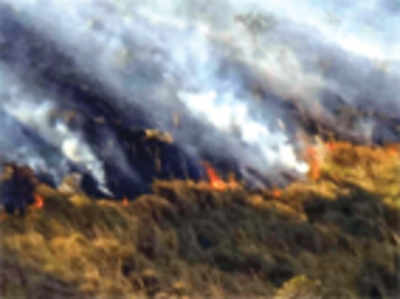 Forest fire ravages Western Ghat range