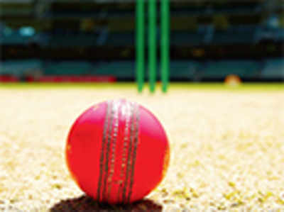 Day-night Test: Inputs sought from Ganguly-led committee